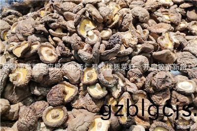 安幑(hui)淨菜籽供應批髮(fa)市場(chang)：尋(xun)找(zhao)優(you)質菜籽(zi)，開啟(qi)緻(zhi)富新(xin)路(lu)！