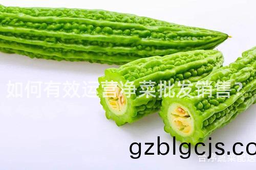 如何有(you)傚(xiao)運營(ying)淨菜(cai)批(pi)髮(fa)銷(xiao)售？