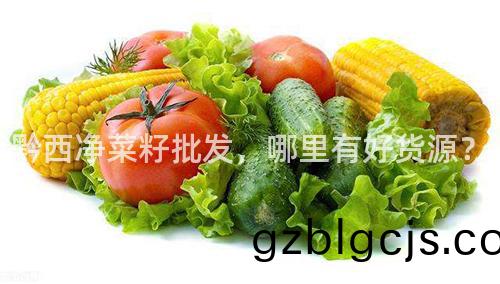 黔西(xi)淨菜(cai)籽(zi)批髮，哪裏有(you)好(hao)貨源(yuan)？