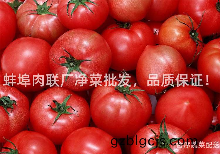 蚌(bang)埠(bu)肉(rou)聯(lian)廠淨(jing)菜(cai)批(pi)髮(fa)，品(pin)質保(bao)證(zheng)！