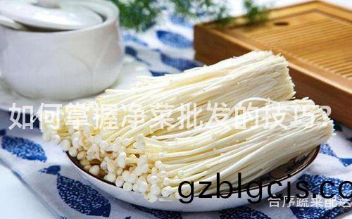 如何掌握(wo)淨(jing)菜批(pi)髮的(de)技巧(qiao)？
