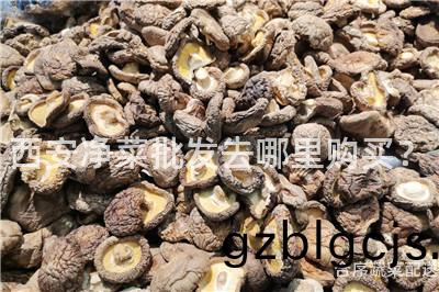 西(xi)安淨(jing)菜批髮(fa)去(qu)哪(na)裏購(gou)買？