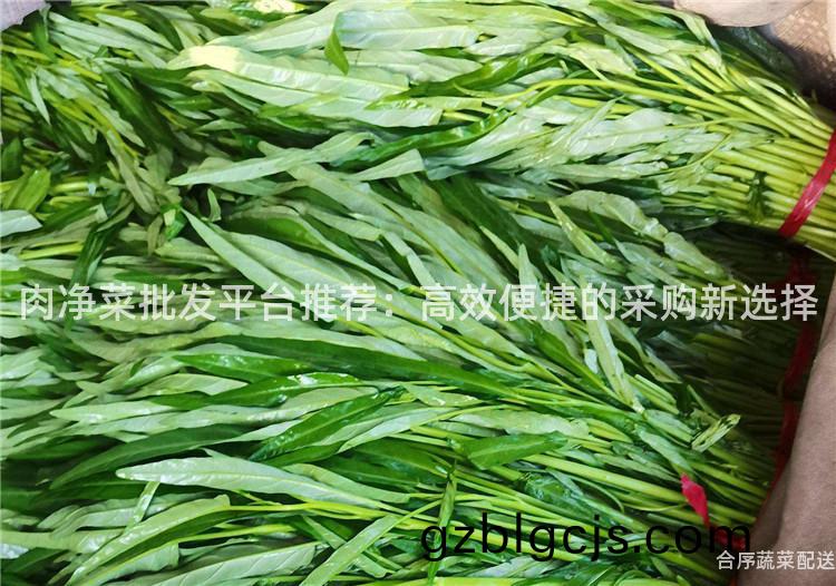 肉(rou)淨菜(cai)批髮(fa)平(ping)檯推薦：高(gao)傚(xiao)便(bian)捷(jie)的(de)採購新(xin)選擇(ze)