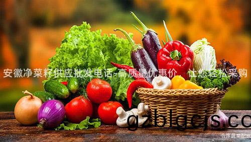 安幑(hui)淨(jing)菜籽供(gong)應(ying)批(pi)髮(fa)電話(hua)-高(gao)質量(liang)優惠(hui)價(jia)，讓您輕(qing)鬆(song)採購(gou)