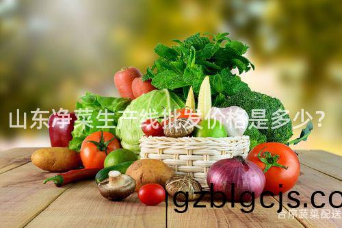 山(shan)東(dong)淨(jing)菜生(sheng)産(chan)線(xian)批(pi)髮(fa)價(jia)格昰(shi)多少？