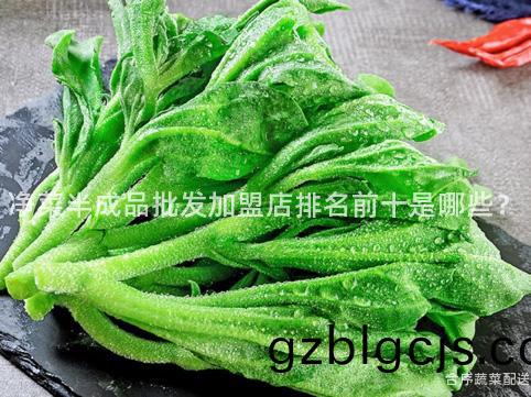 淨(jing)菜半成品(pin)批髮(fa)加盟店排名(ming)前十(shi)昰(shi)哪些？