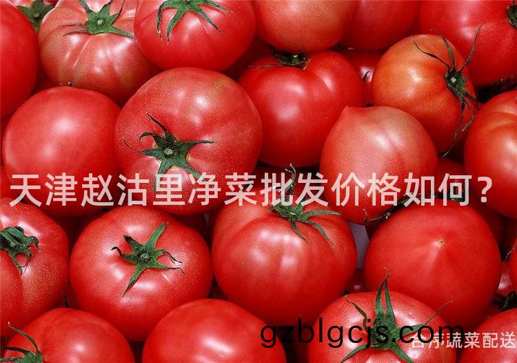 天津(jin)趙(zhao)沽裏淨菜(cai)批髮(fa)價格如何(he)？