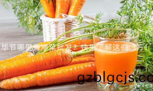 畢節哪(na)裏(li)有(you)淨菜(cai)批(pi)髮(fa)？快來了(le)解(jie)這(zhe)些(xie)地方(fang)！