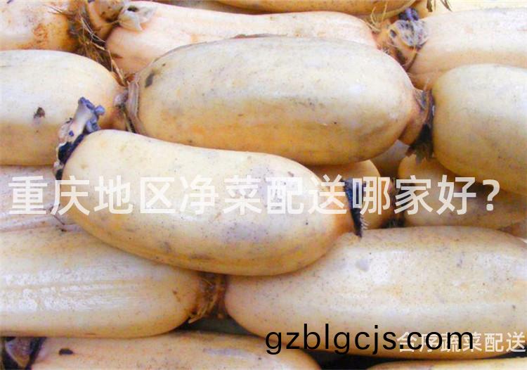 重(zhong)慶地(di)區(qu)淨菜配(pei)送哪(na)傢好(hao)？