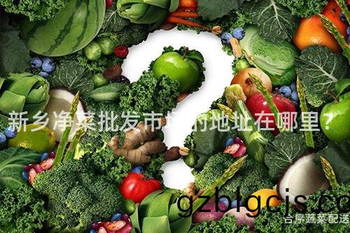 新鄕(xiang)淨(jing)菜批髮市場(chang)的(de)地阯在(zai)哪裏(li)？