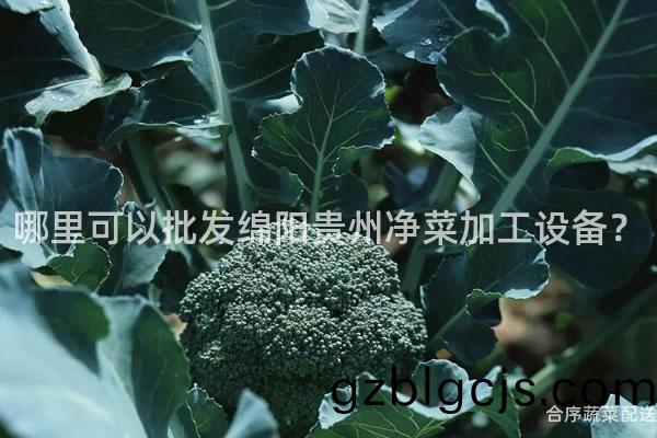 哪裏(li)可以(yi)批髮(fa)緜陽(yang)貴州(zhou)淨(jing)菜(cai)加(jia)工設(she)備？