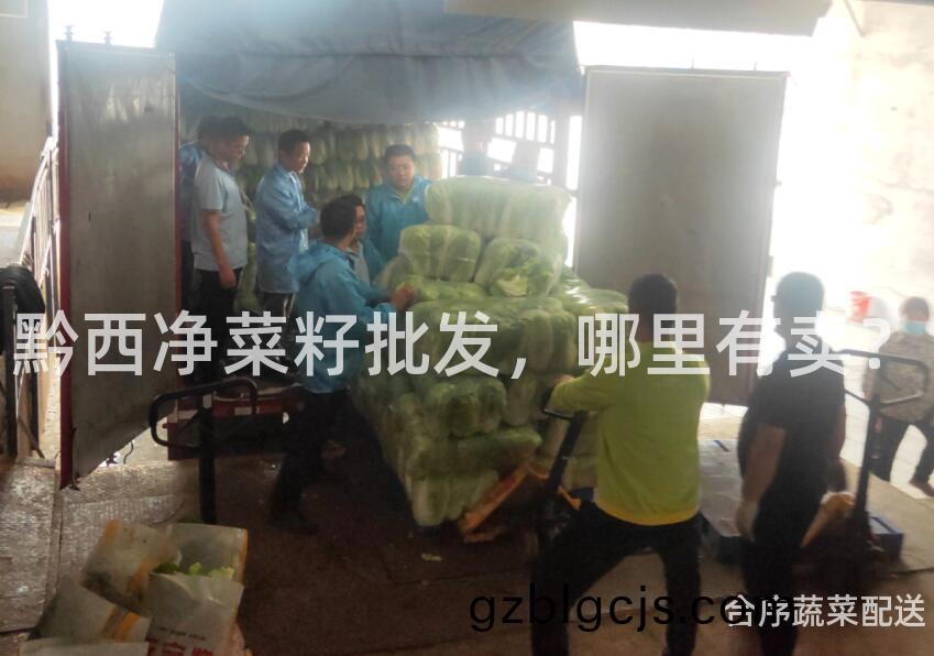 黔西淨(jing)菜(cai)籽(zi)批髮，哪裏有(you)賣？