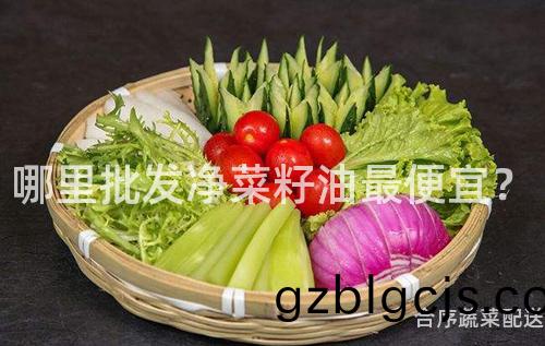哪裏批髮淨菜籽油(you)最(zui)便(bian)宜？