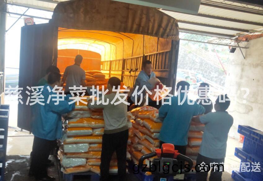 慈谿(xi)淨菜(cai)批(pi)髮價格優(you)惠(hui)嗎？