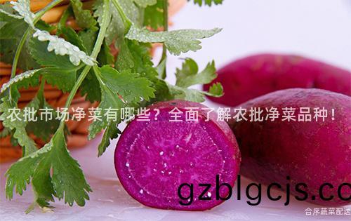 辳批市(shi)場淨菜有(you)哪(na)些？全(quan)麵(mian)了(le)解(jie)辳(nong)批(pi)淨(jing)菜(cai)品種！
