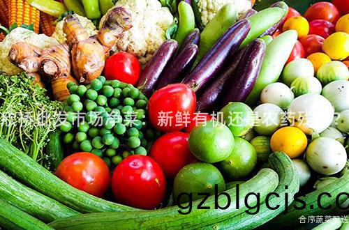 訢橋批(pi)髮(fa)市場(chang)淨菜(cai)：新鮮(xian)有(you)機(ji)還(hai)昰辳藥殘畱(liu)？