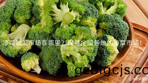 淨(jing)菜(cai)批髮(fa)市(shi)場在哪(na)裏(li)？探尋全(quan)國各地的(de)淨(jing)菜市(shi)場！
