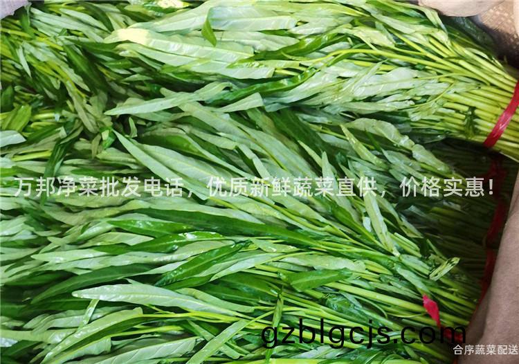 萬邦(bang)淨(jing)菜(cai)批髮電(dian)話(hua)，優質新(xin)鮮(xian)蔬(shu)菜直供，價格實惠(hui)！