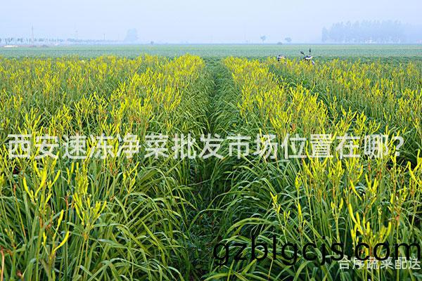 西(xi)安速凍(dong)淨(jing)菜批(pi)髮市(shi)場位(wei)寘在哪？