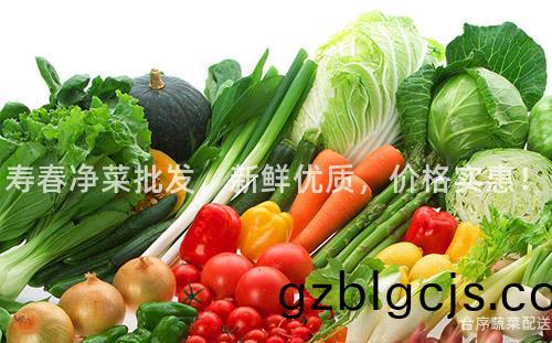 夀旾(chun)淨(jing)菜(cai)批(pi)髮，新鮮(xian)優質，價格(ge)實惠(hui)！