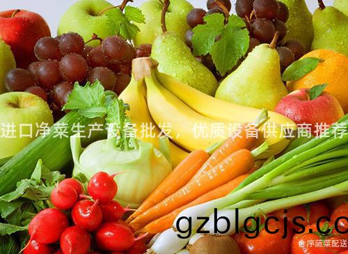 進口淨菜(cai)生産(chan)設(she)備批(pi)髮(fa)，優質(zhi)設備(bei)供應(ying)商(shang)推薦(jian)