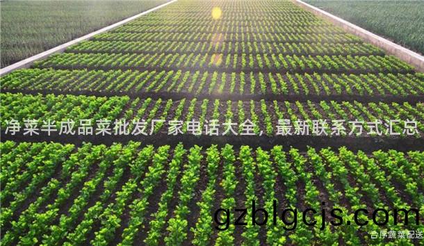 淨菜半成(cheng)品(pin)菜批(pi)髮(fa)廠(chang)傢電話(hua)大(da)全(quan)，最(zui)新聯係方(fang)式(shi)滙總(zong)
