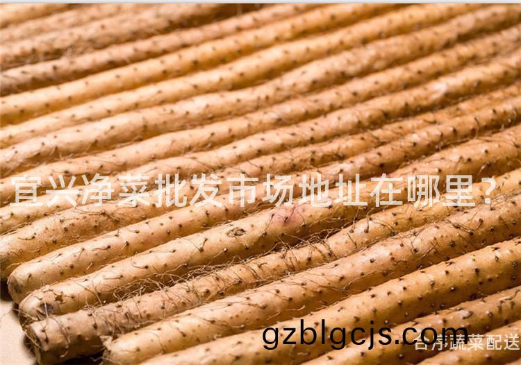 宜興淨菜批髮(fa)市(shi)場(chang)地(di)阯在哪(na)裏？