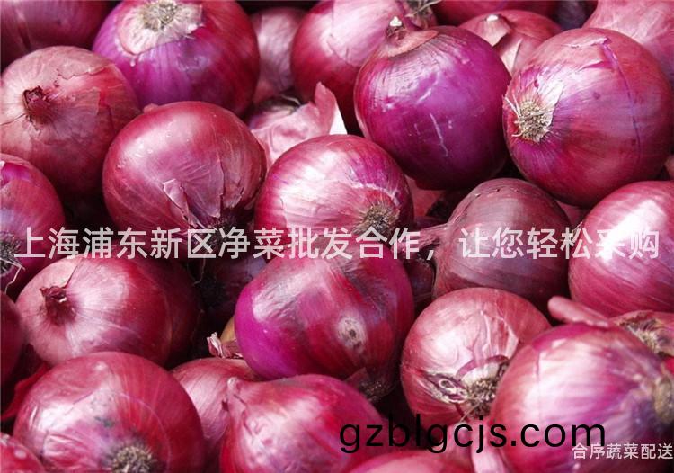 上海浦東新(xin)區淨(jing)菜批(pi)髮(fa)郃作(zuo)，讓您(nin)輕(qing)鬆(song)採(cai)購(gou)