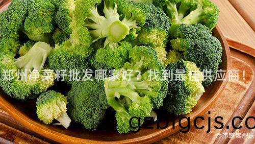 鄭(zheng)州(zhou)淨菜籽批髮(fa)哪傢好(hao)？找(zhao)到最(zui)佳供應(ying)商！