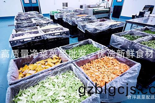 高質(zhi)量淨菜菜品(pin)批(pi)髮(fa)，優(you)選(xuan)新鮮食材(cai)