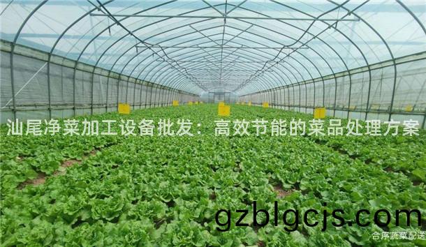 汕(shan)尾(wei)淨菜加工設(she)備批(pi)髮：高傚節(jie)能(neng)的(de)菜品(pin)處理方(fang)案