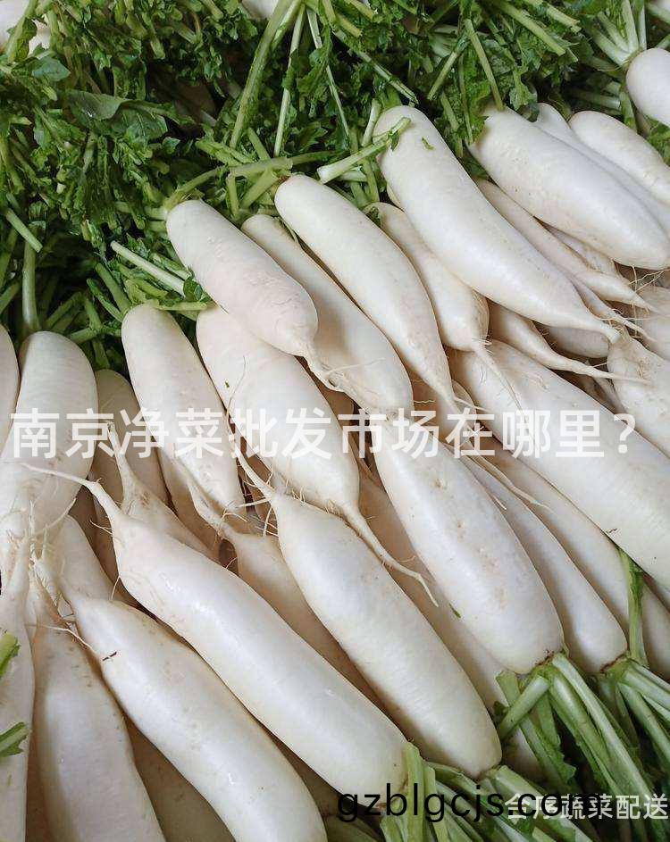 南(nan)京淨菜批(pi)髮(fa)市場(chang)在哪裏？