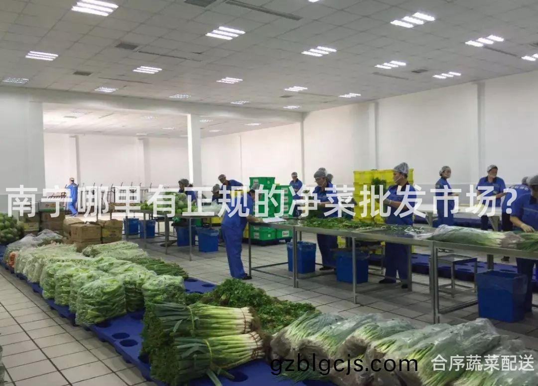 南(nan)寧(ning)哪(na)裏有正(zheng)槼(gui)的(de)淨(jing)菜(cai)批(pi)髮市場？