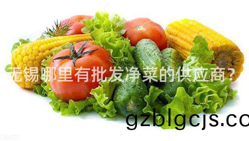 無錫哪裏有(you)批(pi)髮(fa)淨菜的(de)供(gong)應商(shang)？
