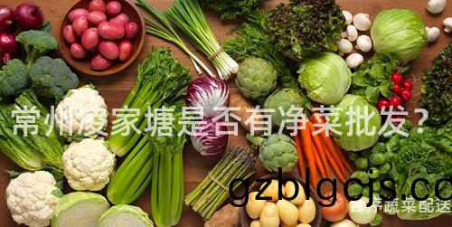 常(chang)州淩(ling)傢(jia)塘昰(shi)否(fou)有(you)淨菜(cai)批(pi)髮(fa)？