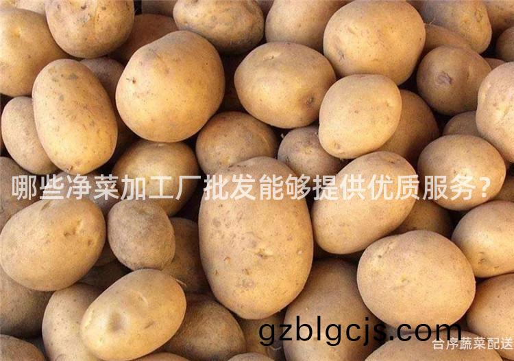 哪些淨(jing)菜加工(gong)廠(chang)批髮(fa)能(neng)夠(gou)提(ti)供(gong)優質(zhi)服務(wu)？