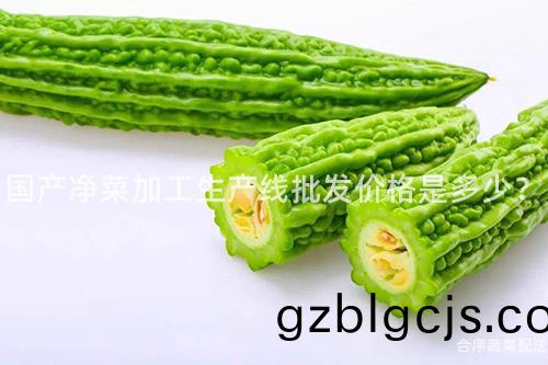 國産淨(jing)菜加工(gong)生(sheng)産(chan)線批(pi)髮(fa)價格(ge)昰(shi)多(duo)少？