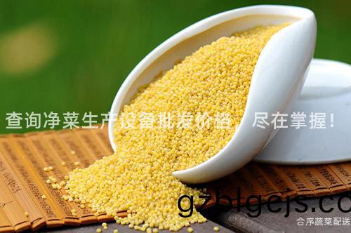 査(zha)詢(xun)淨(jing)菜生産設(she)備(bei)批髮價(jia)格(ge)，儘(jin)在掌握！
