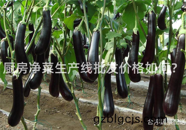 廚房(fang)淨菜生(sheng)産(chan)線(xian)批(pi)髮(fa)價格如何(he)？