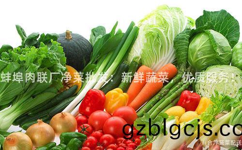 蚌(bang)埠(bu)肉(rou)聯(lian)廠(chang)淨菜批髮(fa)：新鮮蔬(shu)菜，優(you)質服(fu)務！