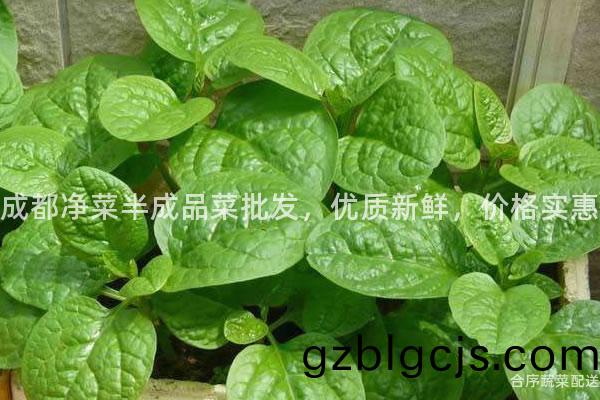 成(cheng)都淨菜(cai)半(ban)成(cheng)品菜批髮(fa)，優質新鮮(xian)，價(jia)格(ge)實(shi)惠
