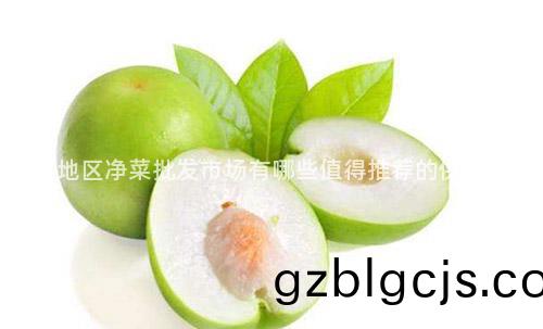 南京(jing)地(di)區淨菜(cai)批髮(fa)市場(chang)有哪些值(zhi)得(de)推薦的供(gong)應(ying)商？