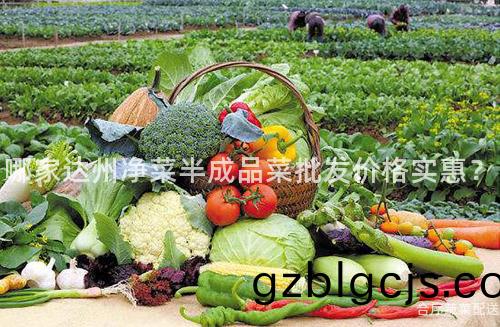 哪(na)傢達州(zhou)淨菜半成(cheng)品菜批髮(fa)價格實(shi)惠？