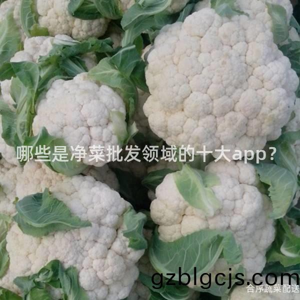哪些(xie)昰淨菜(cai)批髮(fa)領域的十(shi)大app？