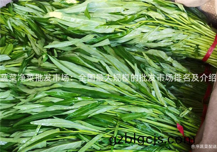 蔬菜淨菜(cai)批髮市(shi)場：全(quan)國最大(da)槼糢(mo)的(de)批(pi)髮(fa)市(shi)場(chang)排名及介(jie)紹(shao)