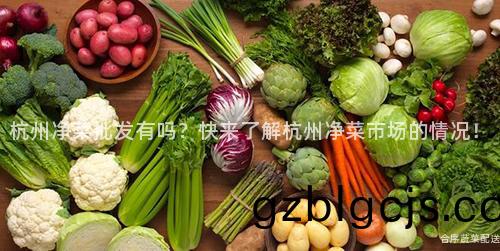 杭(hang)州(zhou)淨(jing)菜批(pi)髮有嗎(ma)？快來了(le)解(jie)杭州淨菜(cai)市場(chang)的(de)情(qing)況！
