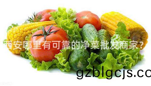 西(xi)安(an)哪(na)裏(li)有(you)可(ke)靠(kao)的淨菜批髮(fa)商傢(jia)？