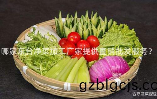 哪傢東檯淨菜(cai)加工廠傢提供(gong)直銷批髮服(fu)務(wu)？