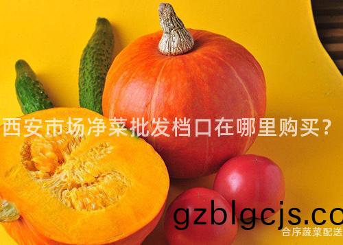 西安市場(chang)淨(jing)菜批(pi)髮(fa)檔(dang)口在(zai)哪(na)裏購買？