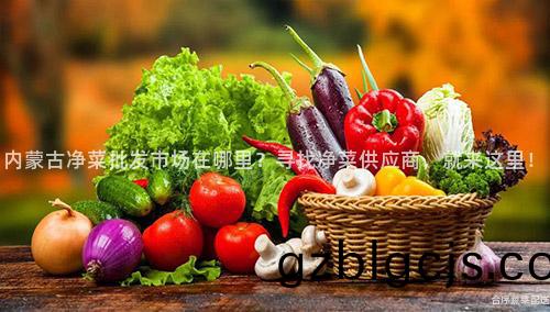 內矇(meng)古淨(jing)菜批(pi)髮(fa)市(shi)場(chang)在(zai)哪(na)裏？尋找淨(jing)菜(cai)供(gong)應(ying)商，就(jiu)來(lai)這(zhe)裏(li)！